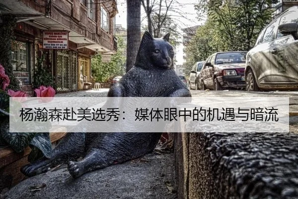 杨瀚森赴美选秀：媒体眼中的机遇与暗流 - leyu